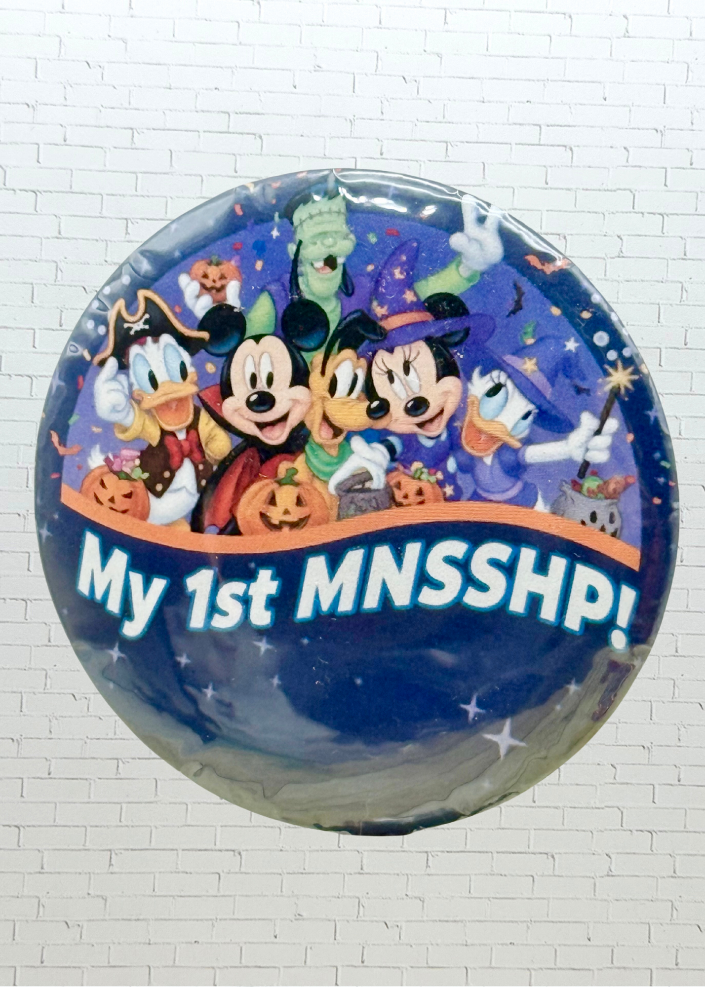 Theme Park Celebration Pin