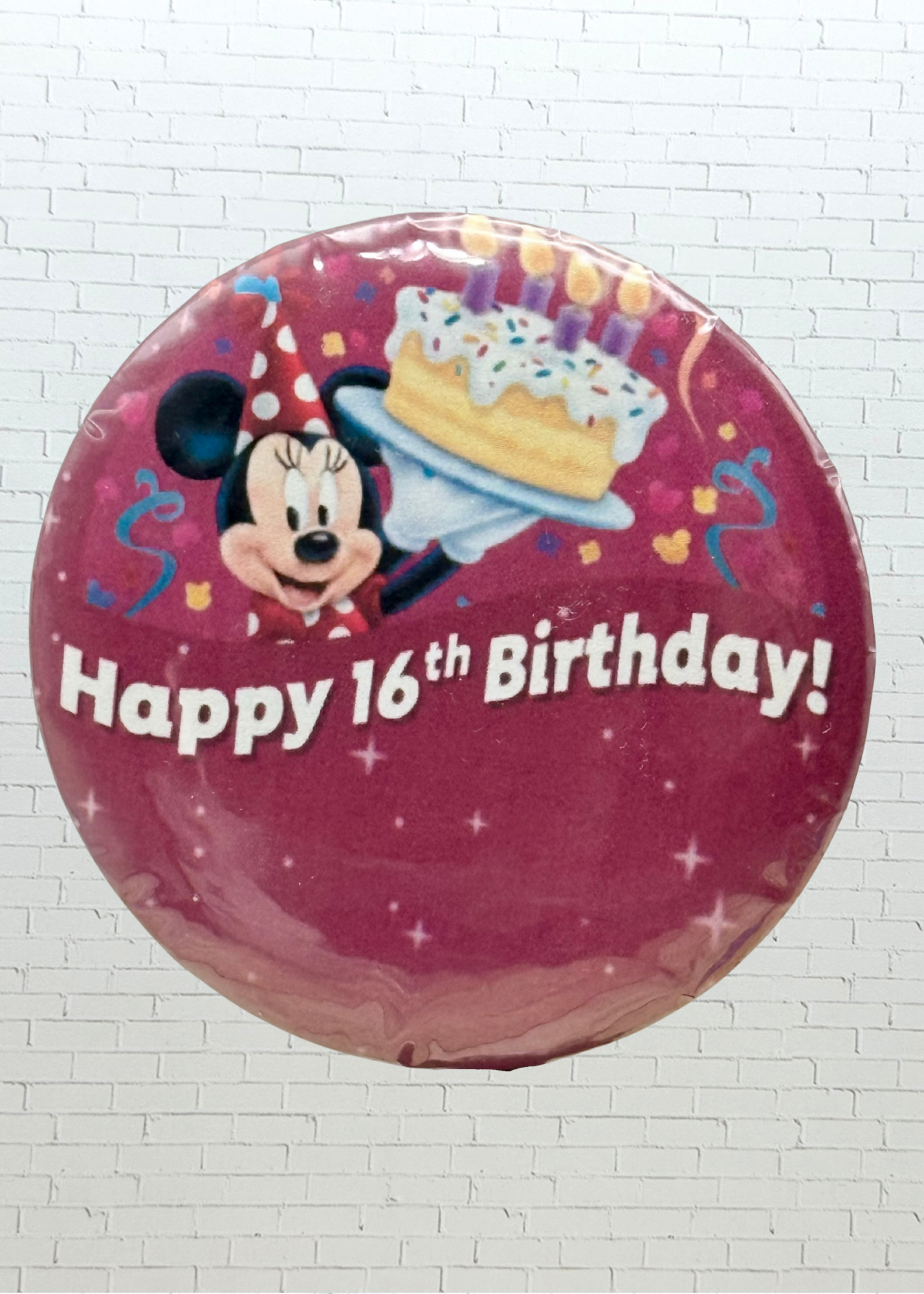 Theme Park Celebration Pin