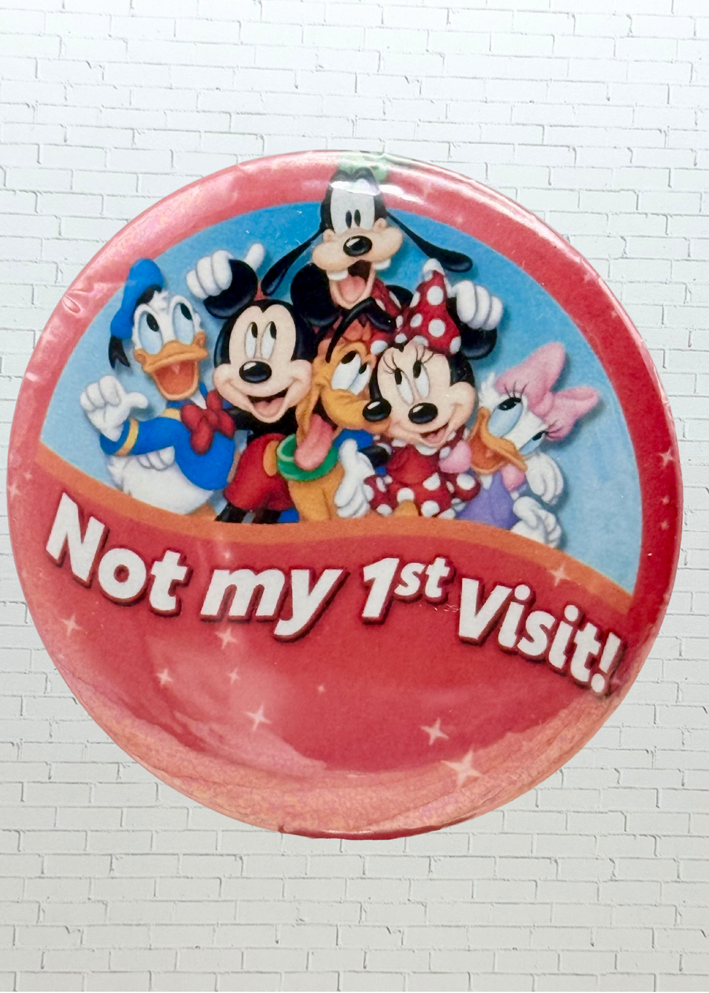Theme Park Celebration Pin