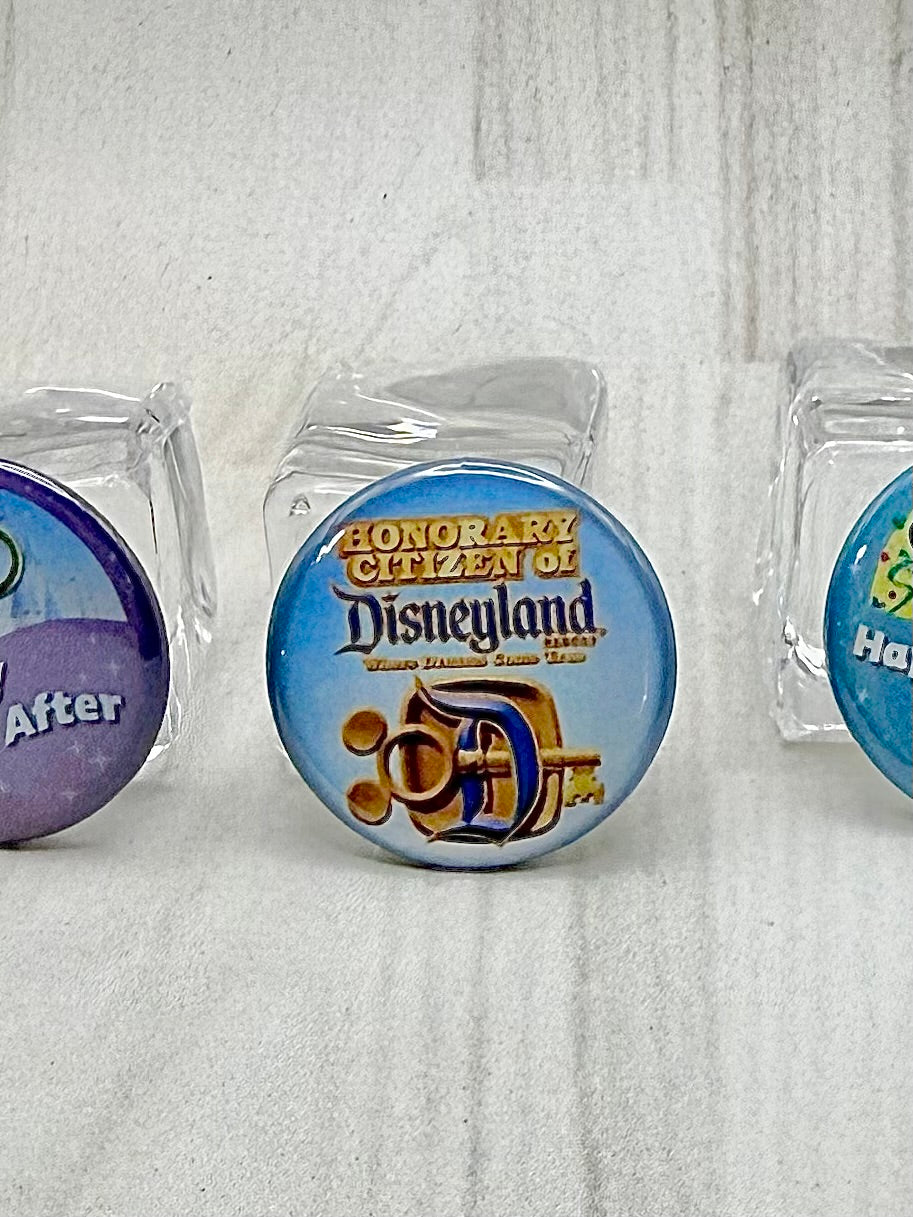 Mini Theme Park Pins