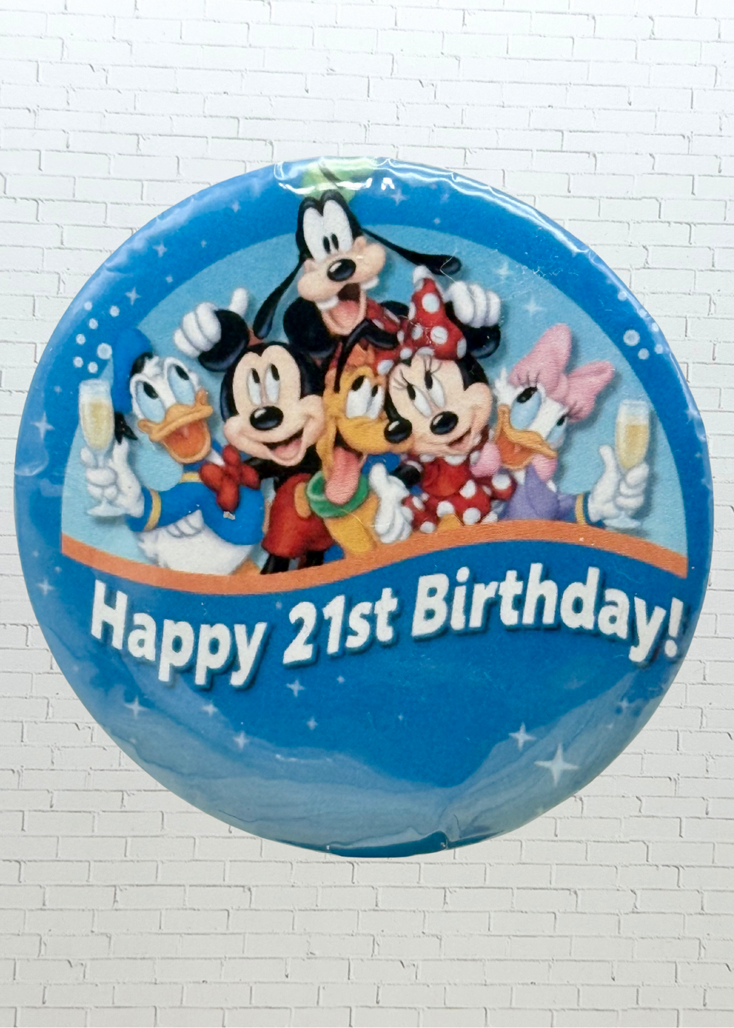 Theme Park Celebration Pin