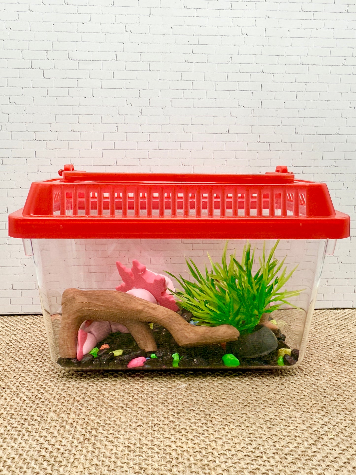 Everlore Pocket Pet – Axolotl