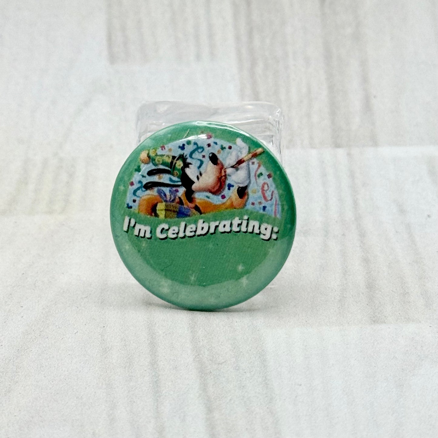 Mini Theme Park Pins