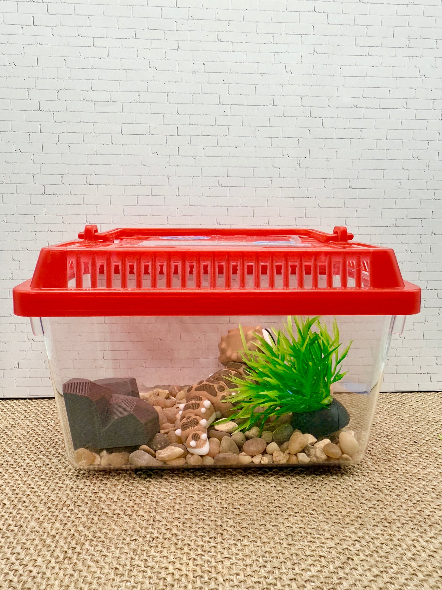 Everlore Pocket Pet β Bearded Dragon