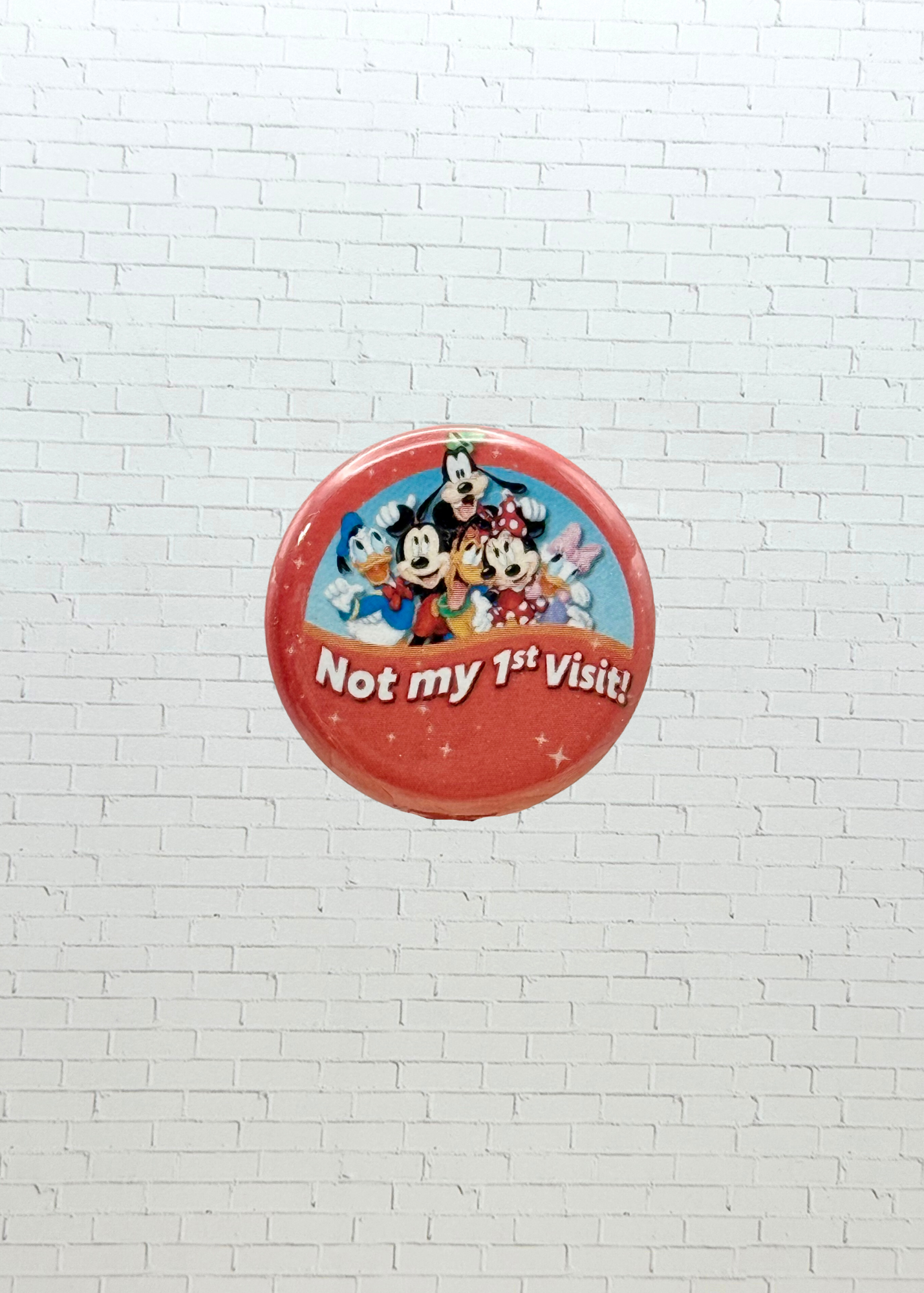 Mini Theme Park Pins