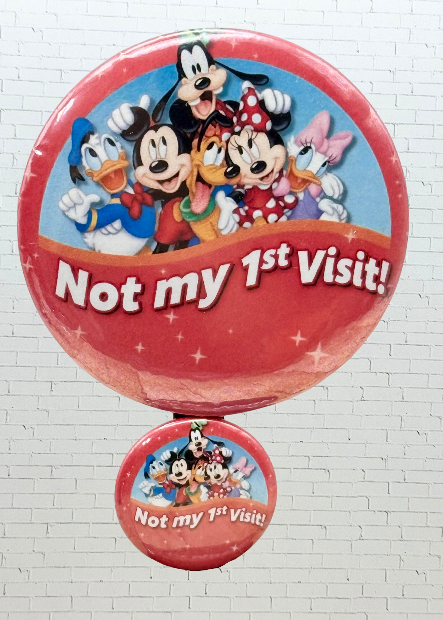 Mini Theme Park Pins