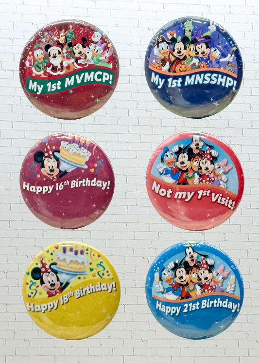 Theme Park Celebration Pin