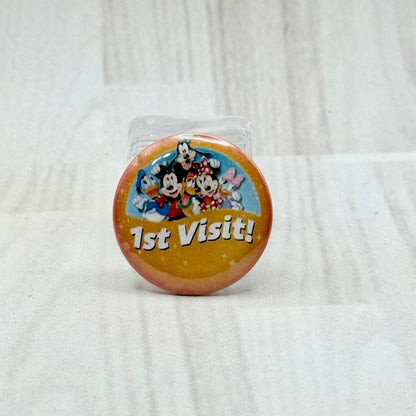 Mini Theme Park Pins