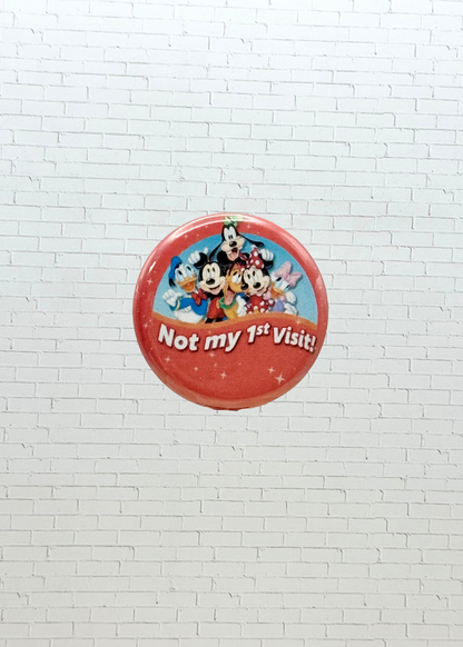 Mini Theme Park Pins